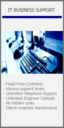 IT Business Support